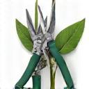 Icon representing tree and shrub pruning shears.